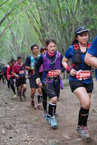 BIB: 725, 2096
                            <button type="button" onclick="openModal(4130115)" class="btn btn-primary btn-sm float-right btn-popup" data-toggle="modal" data-target=".modal-high-quality">
                        <i class="fas fa-shopping-cart"></i> Add to Cart
                    </button>
                                            <button type="button" onclick="isThisMe(4130115, true)" class="btn btn-success btn-sm float-right btn-popup btn-isme hidden" data-toggle="tooltip" data-placement="bottom" title="นี่คือรูปของคุณใช่ไหม คลิกที่นี่เพื่อเอาเข้าอัลบั้ม">
                        <i class="fas fa-plus"></i> Add to album
                    </button>
                    <button type="button" onclick="isThisMe(4130115, false)" class="btn btn-warning btn-sm float-right btn-popup btn-isnotme hidden">
                        <i class="fas fa-ban"></i> Remove from album
                    </button>